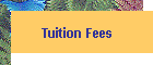 Tuition Fees